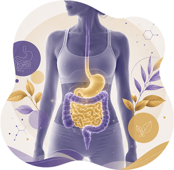 Ilustración del sistema digestivo en tonos violeta y dorado